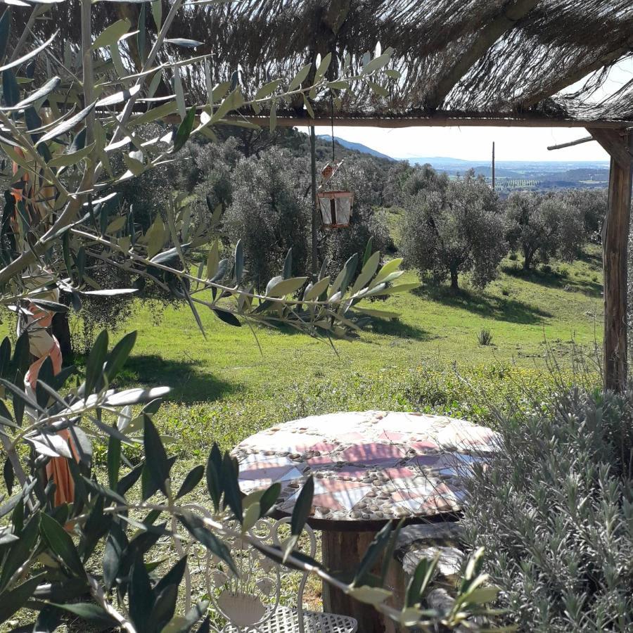 Agriturismo Poggio Falco Batignano Exterior foto