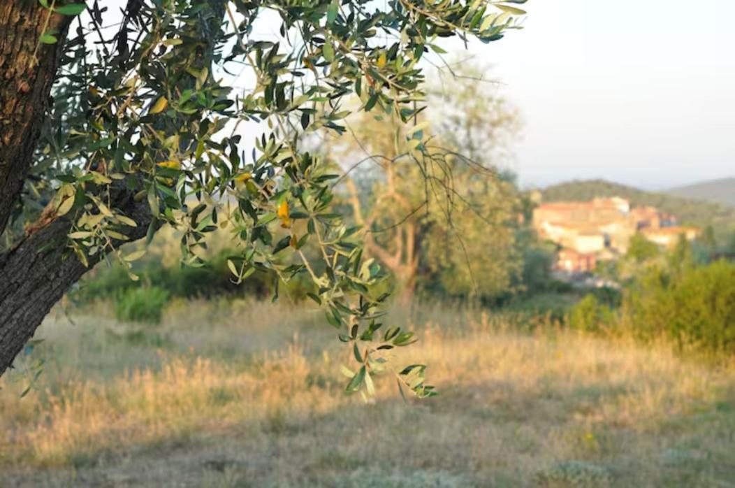 Agriturismo Poggio Falco Batignano Exterior foto